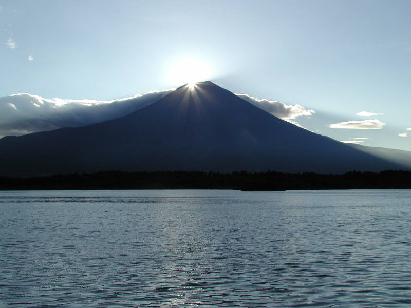 �{���̏���n��