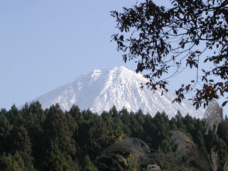 �����̑�t��