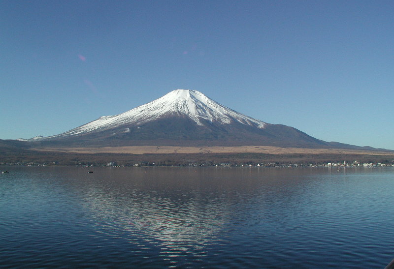 �R���΁@�ΔȂ���