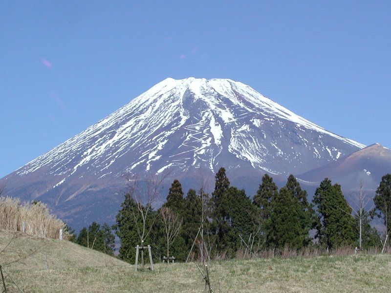 ���ǂ��̂��ɂ���