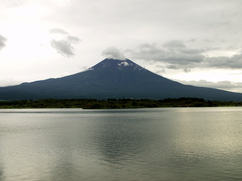 �_�C�������h�O�̒��Ă�