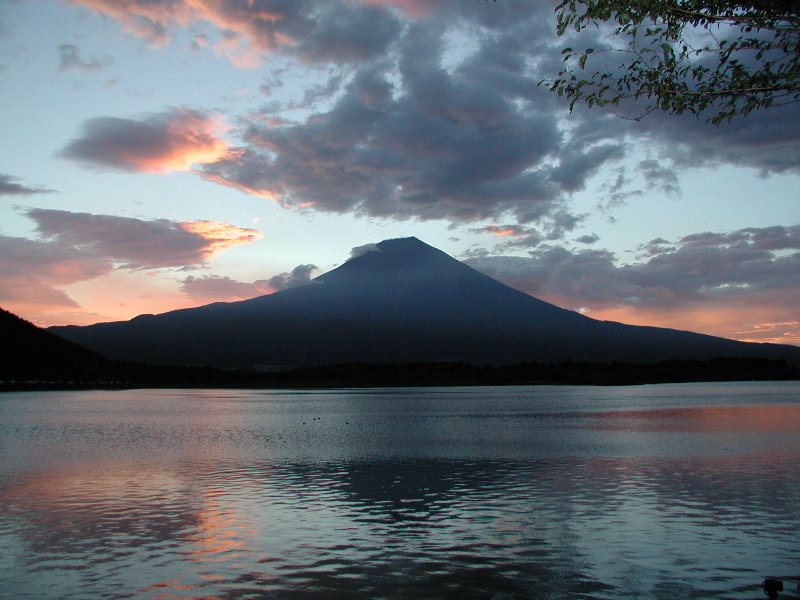 �_�C�������h�O�̒��Ă�