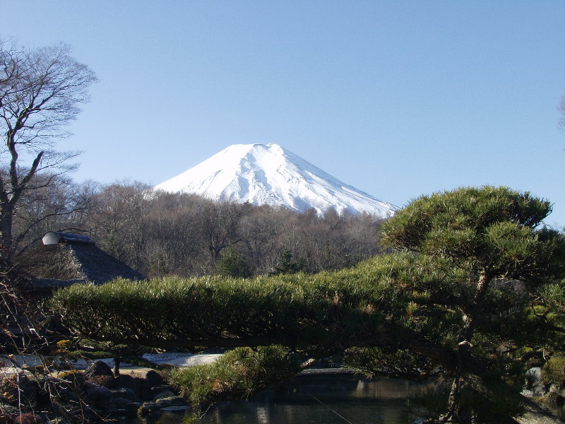 �E��̏��ƕx�m