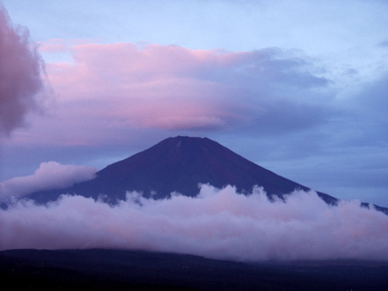 �R���΂���̓��̏o