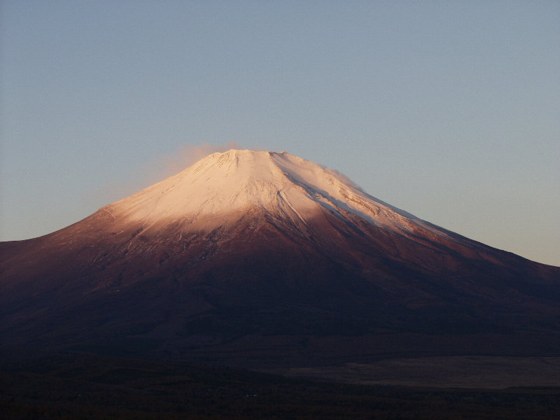 �R���΂���̓��̏o