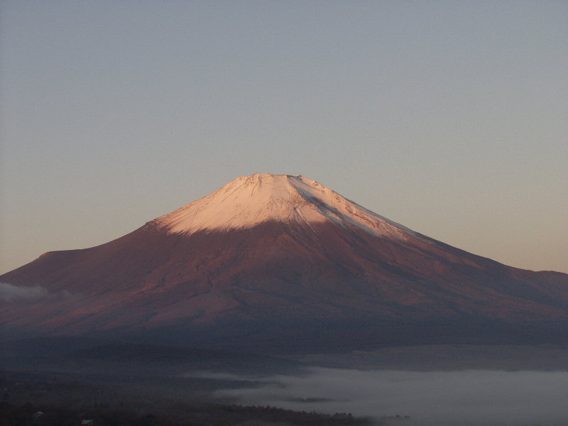 �R���΂���̓��̏o