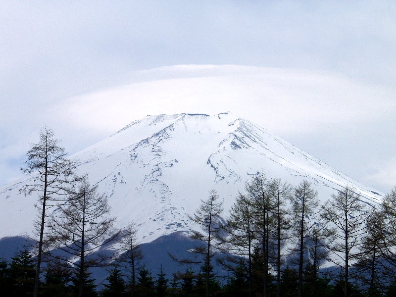 �x�m�g�c����