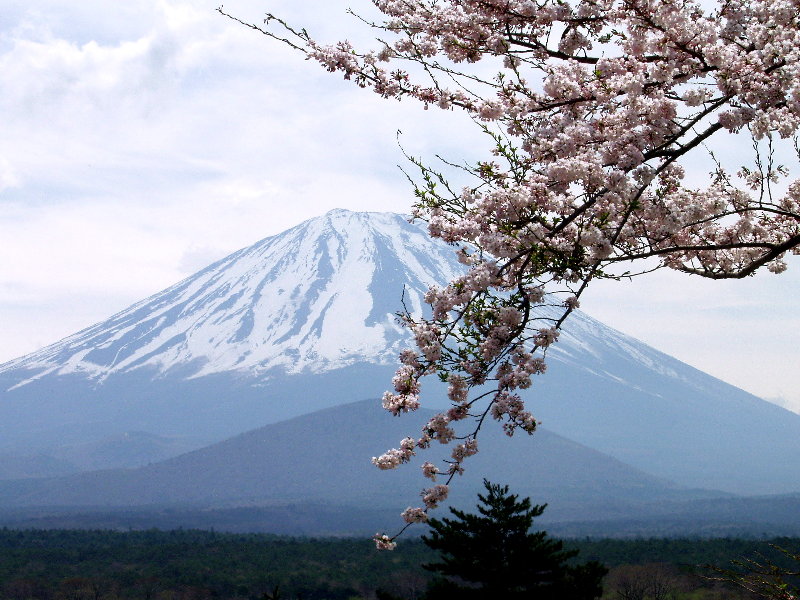 ���i�΂���x�m�ƍ�