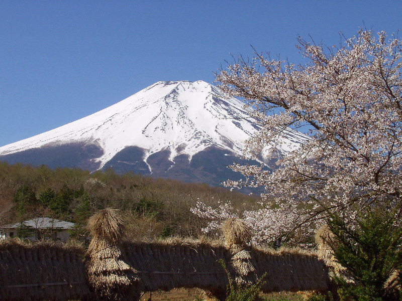 �E�삩��̕x�m�ƍ�