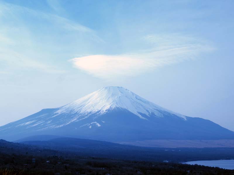 �����P�_���ǂ�