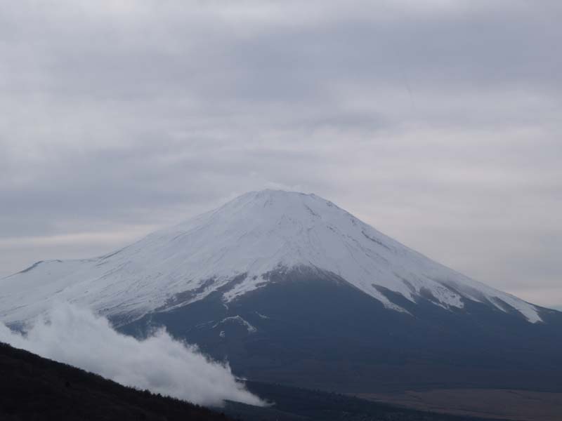 29���̂��ł܂�