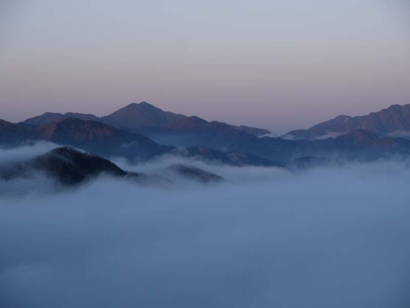 �[���Ɖ_�C