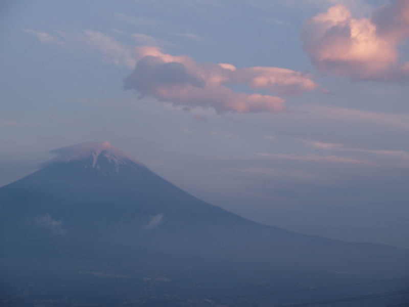 29�� ��a�ꂩ��̓��̏o