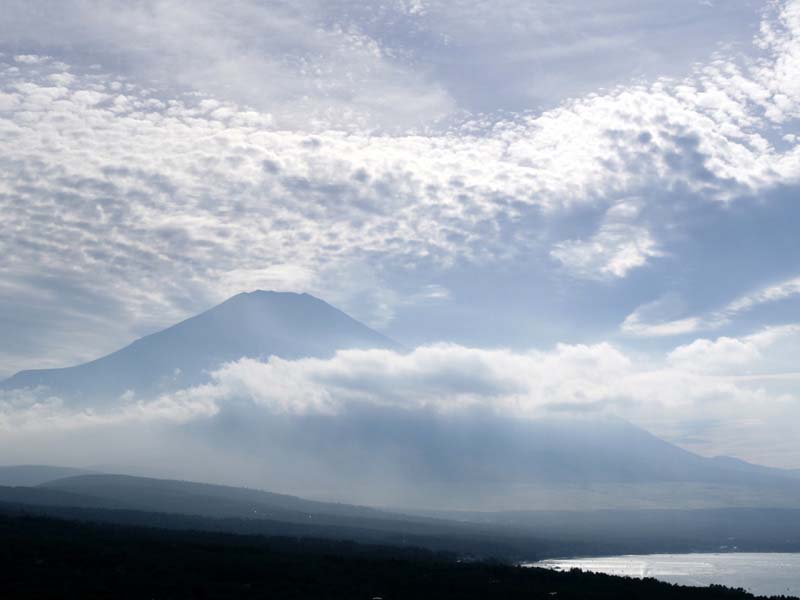 �R���΂���̕x�m�R