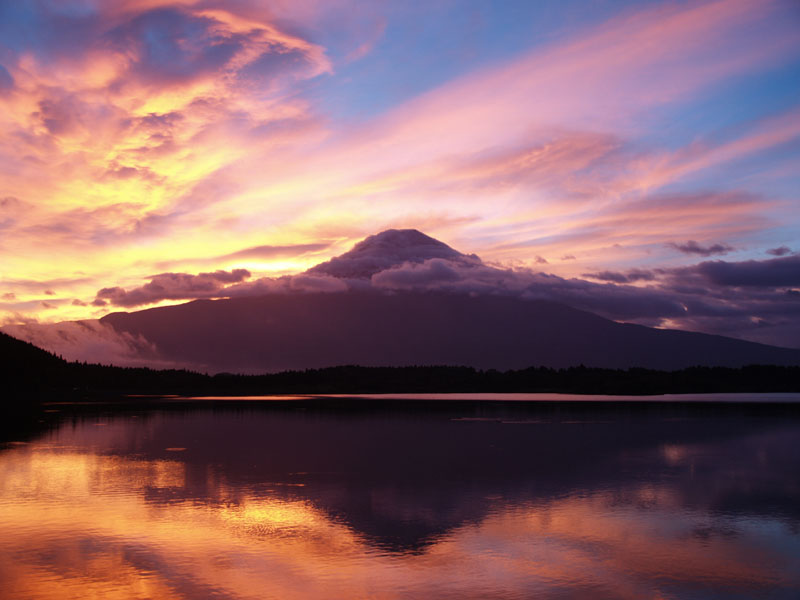 �c�ь΂���̒��Ă��@(OLYMPUS E-�P)