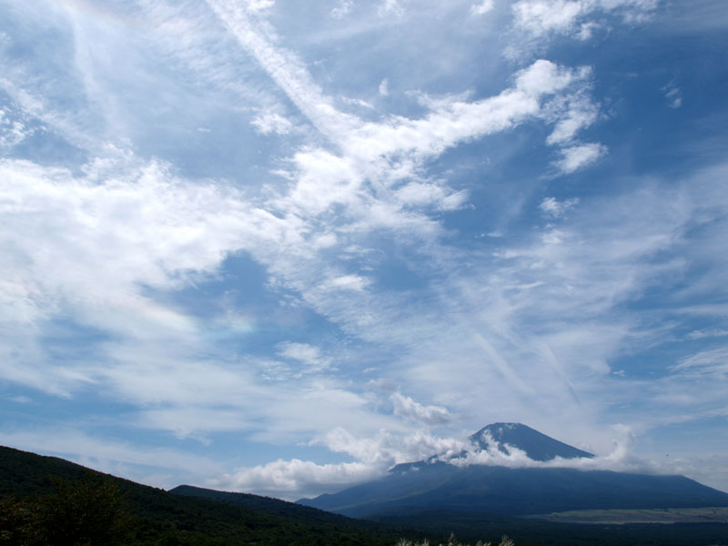 �x�m�R�ƃ_�u������