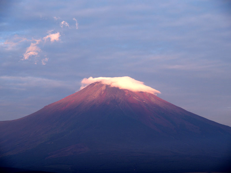 �R���΂̒��Ă�