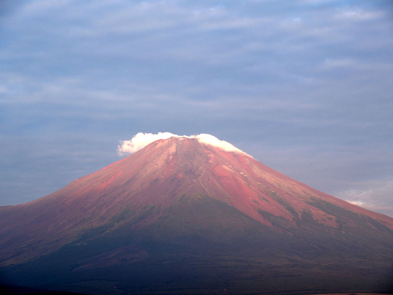 �R���΂̒��Ă��i�Q�j