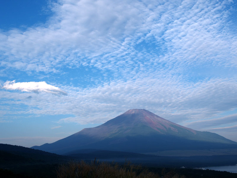 ���낱�_�ƕx�m�R