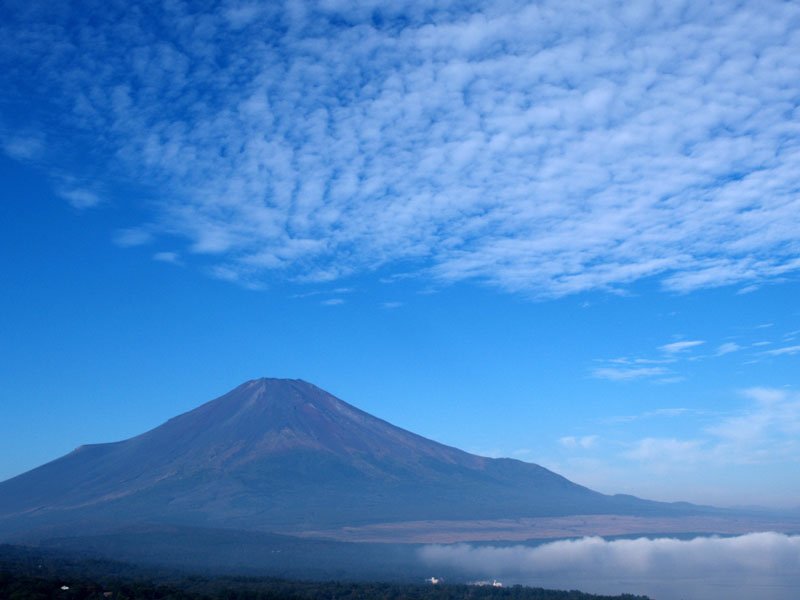 �x�m�R�Ƃ��낱�_