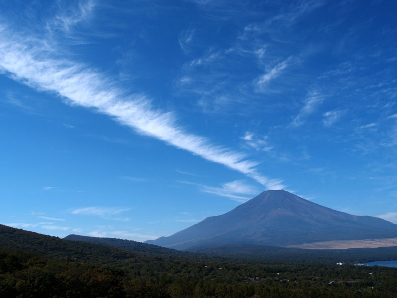 �x�m�R�Ƌ؉_