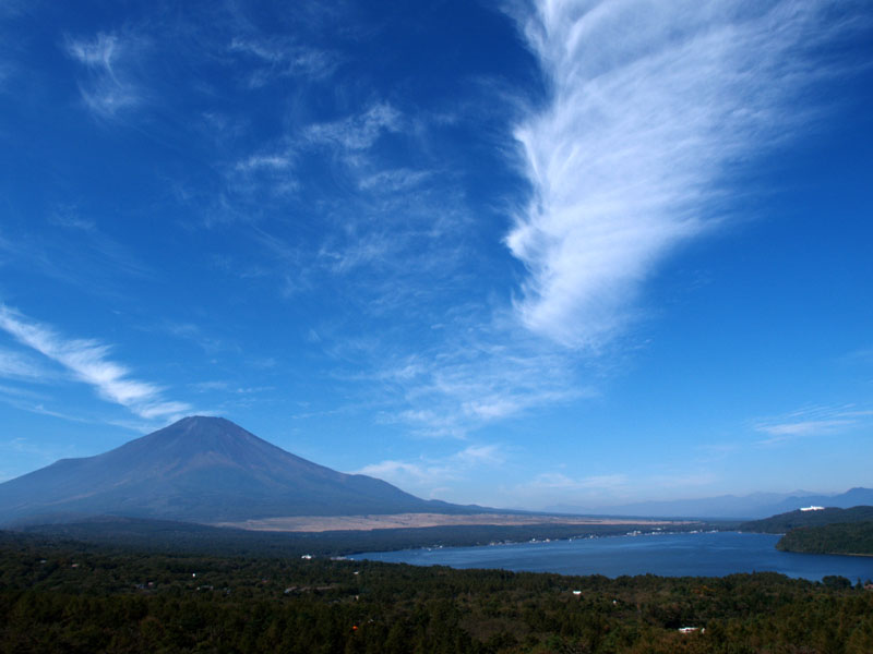 �x�m�R�ƂЂ��_(�Q)