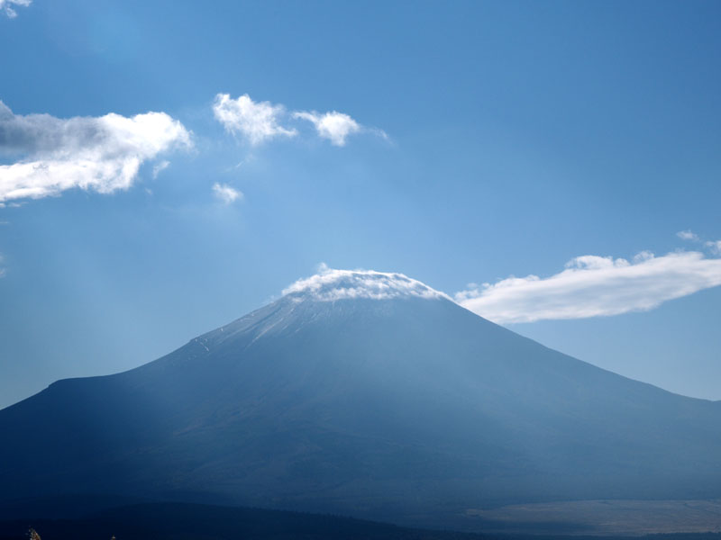 �Q�P���̃_�C�������h�O