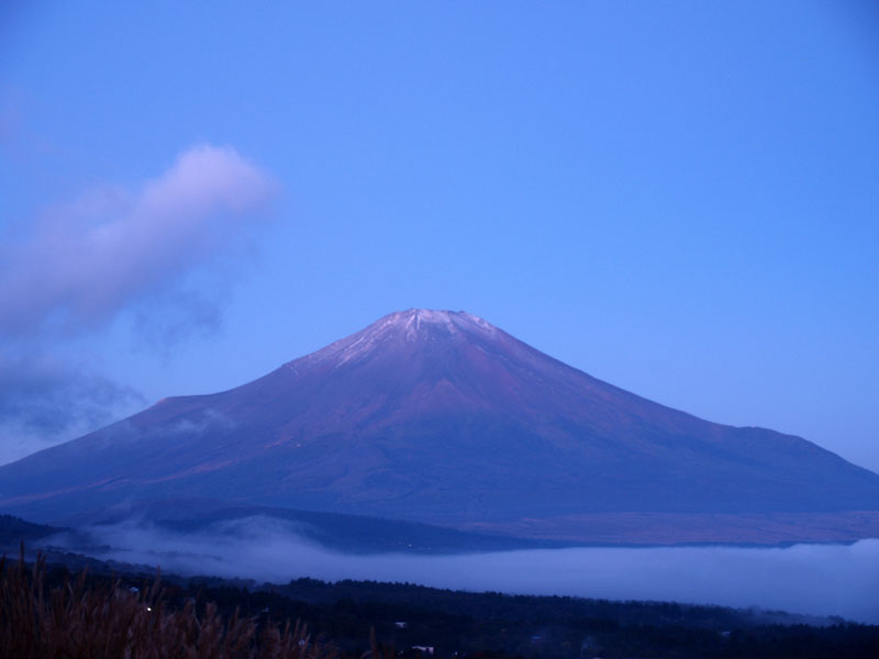 �Q�Q���̒��Ă�