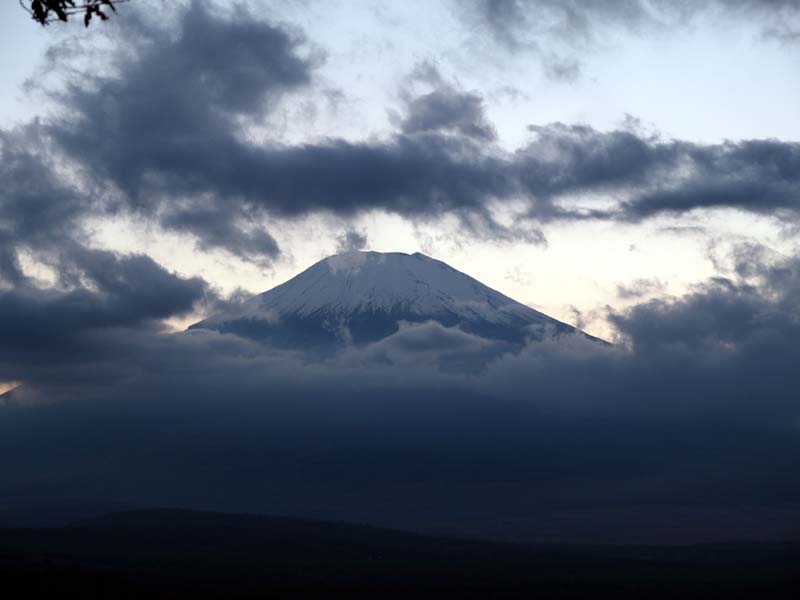 �R���΃p�m���}�䂩��̗[��