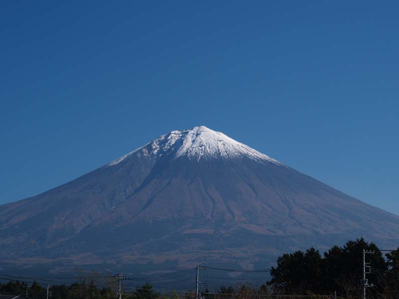 �����̑ꂩ��̕x�m�R