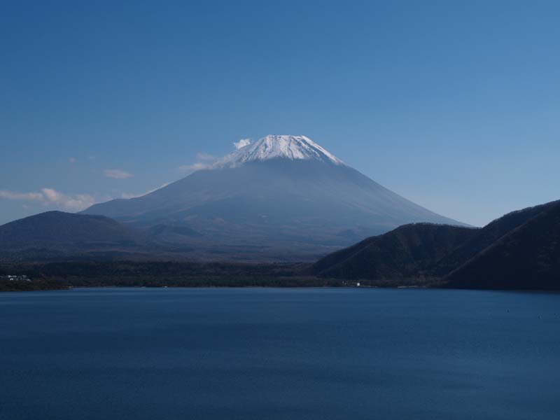 �{���΂���̕x�m�R