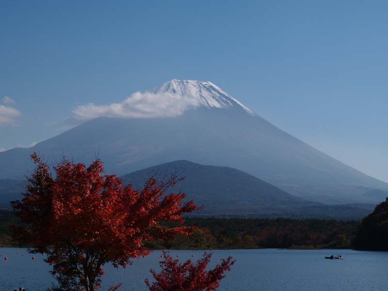 ���i�΂���̕x�m�R