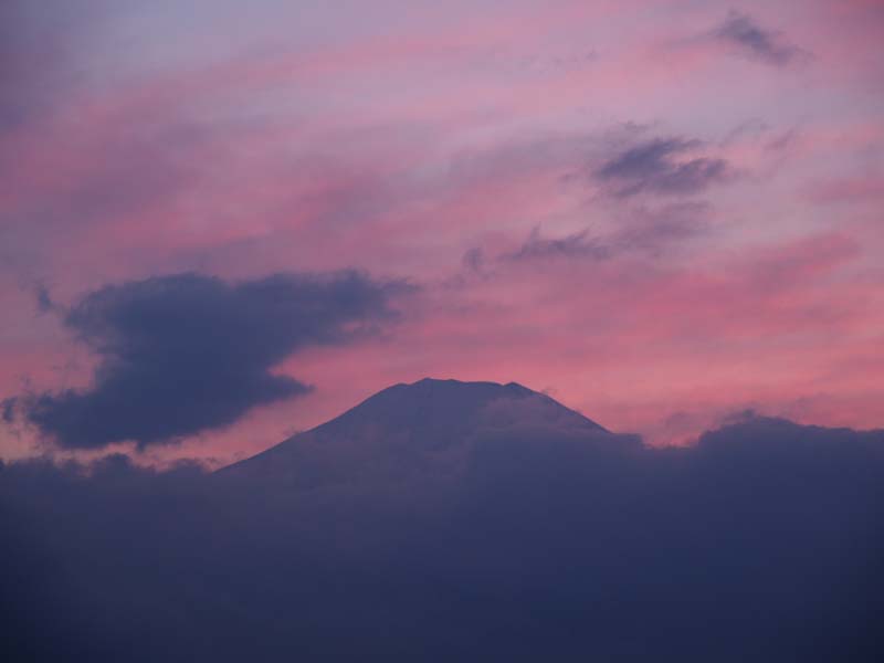 �p�m���}�䂩��̗[��