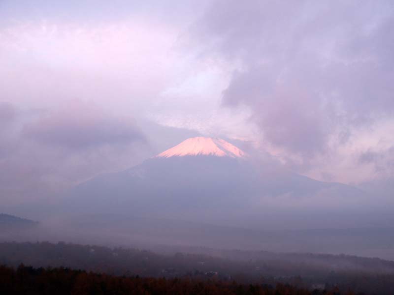 �p�m���}�䂩��̒���