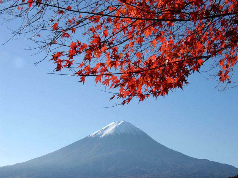 �͌��΂̍g�t�ƕx�m�R