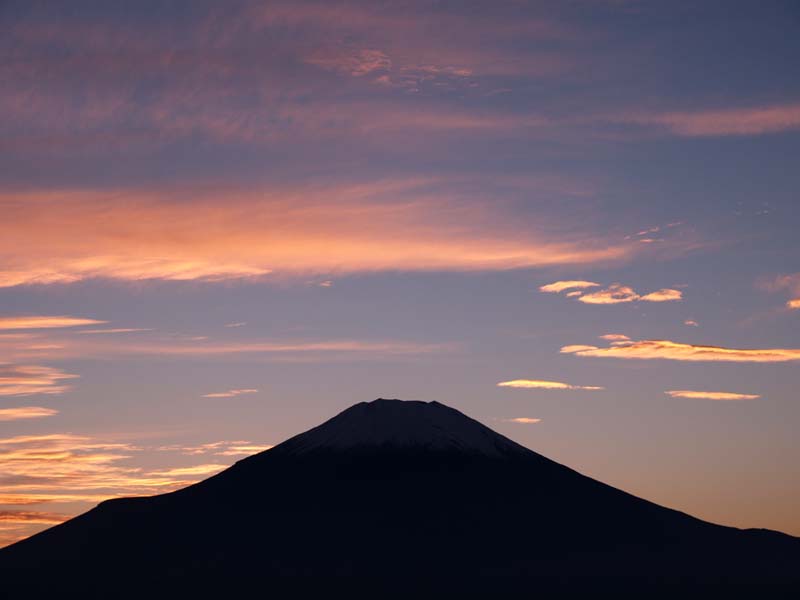 �R���΂���̗[�Ă�