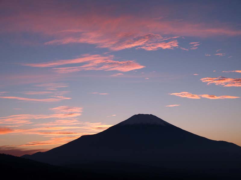 �R���΂���̗[�Ă�(2)