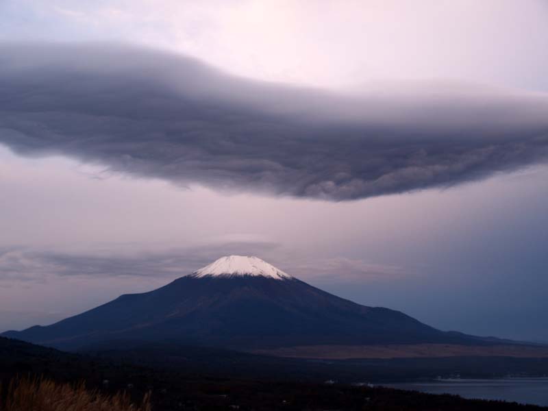 �R���΂���̓��̏o