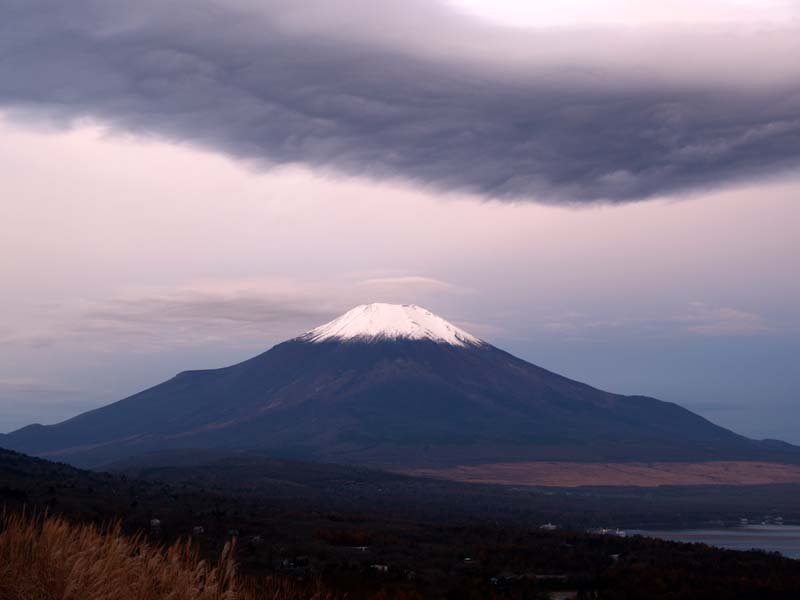 �R���΂���̓��̏o