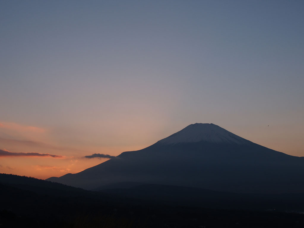 �R���΂���̓��̓���