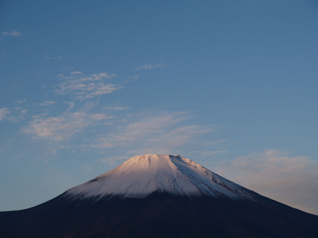 �R���΂���̒���