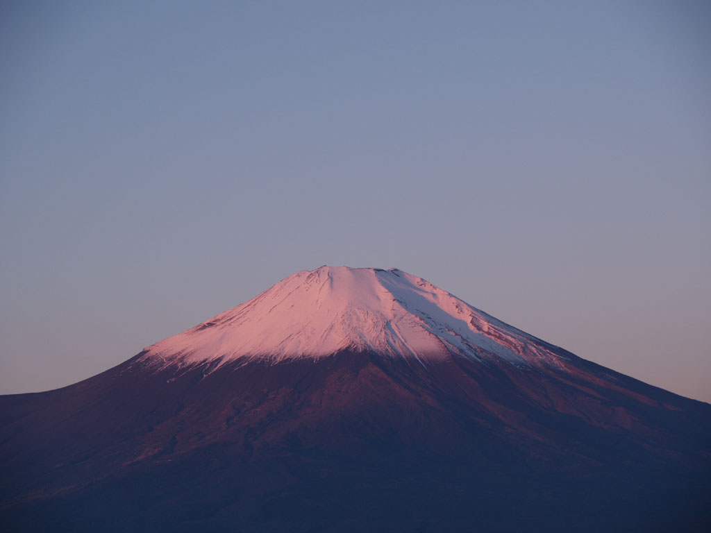 �R���΂���̒���