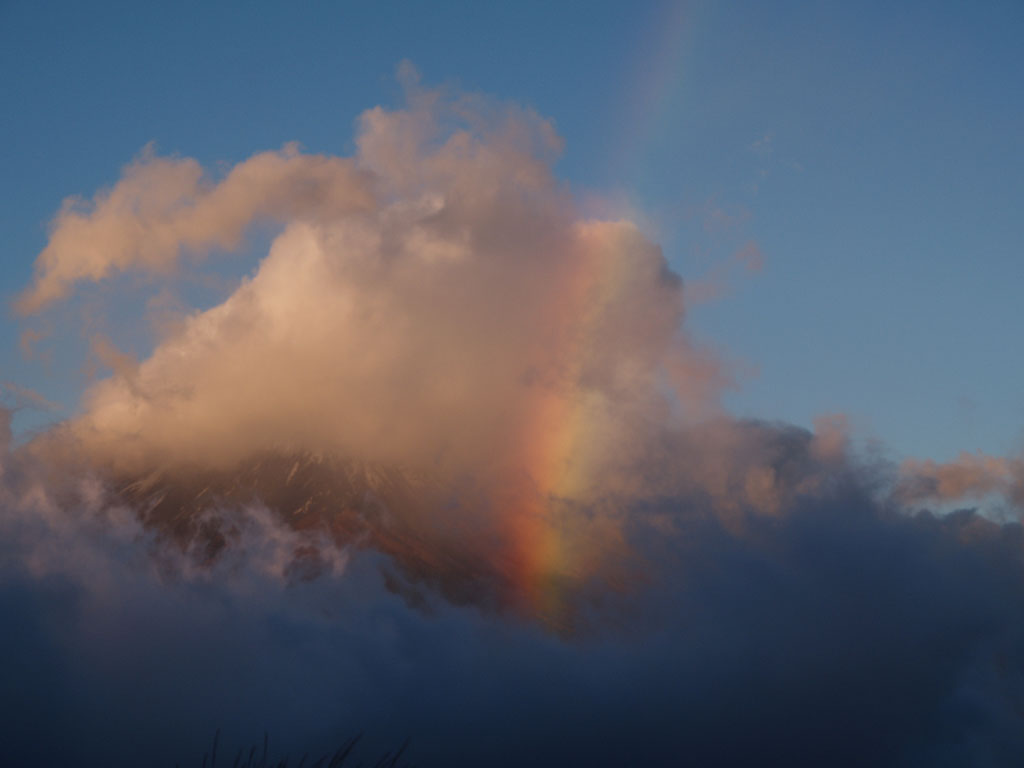 �x�m�R�Ɠ�