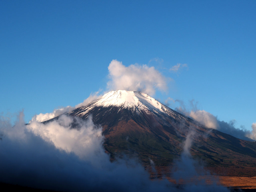 �䕗�ɐ��ꂽ���ꂢ�ȕx�m�R