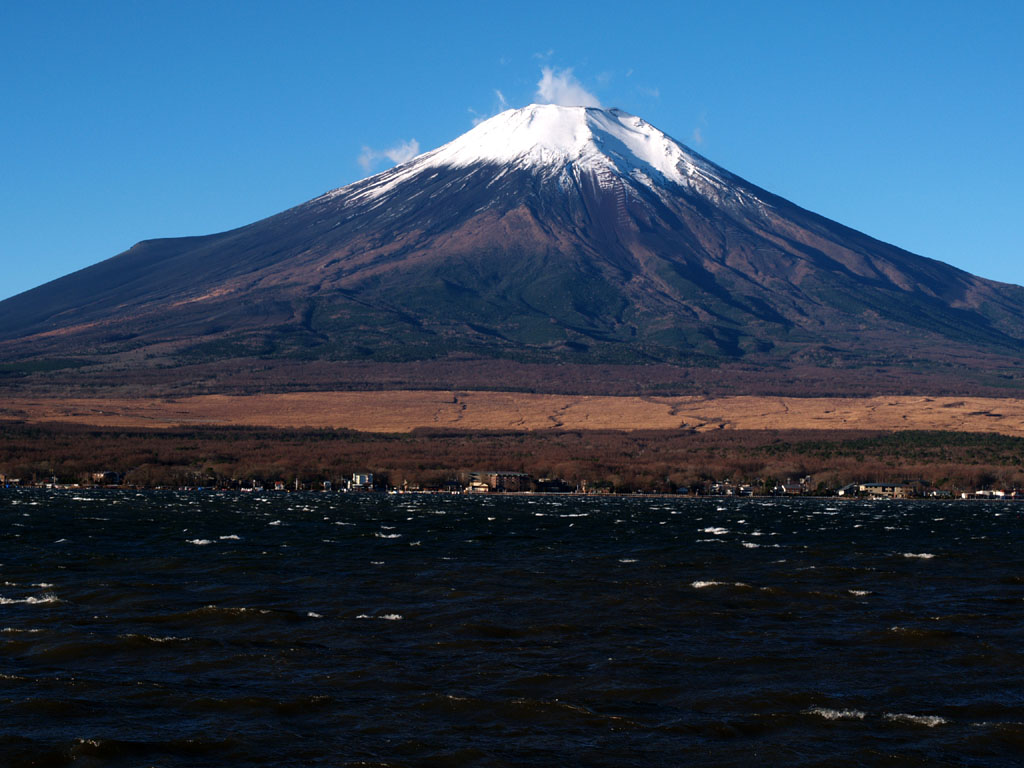 ���r����̕x�m�R�Ƃ����Ȃ�