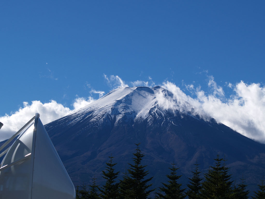 �x�m�g�c���[�_�[�h�[������̕x�m�R