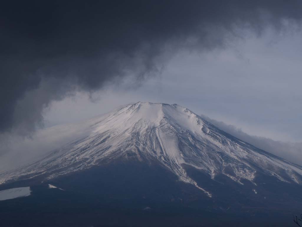 �R���Β��r����̕x�m�R