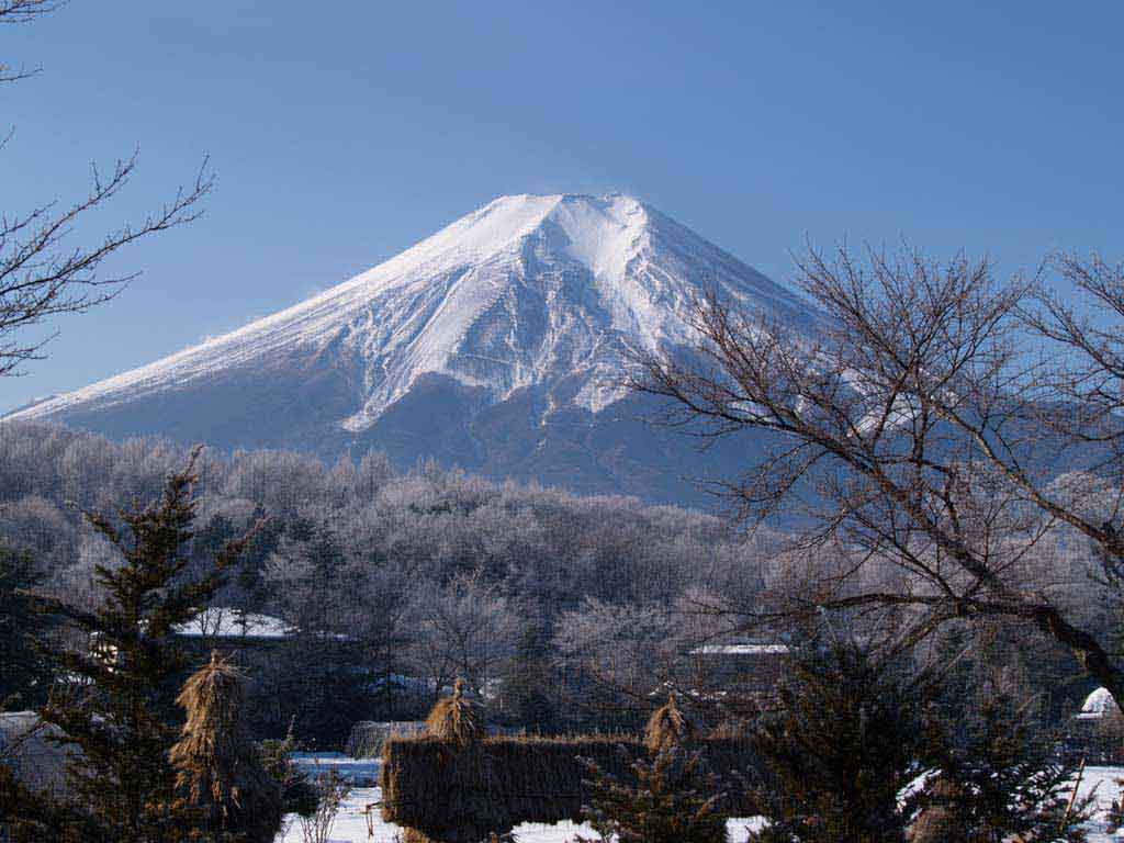 �E�삩��̕x�m�R