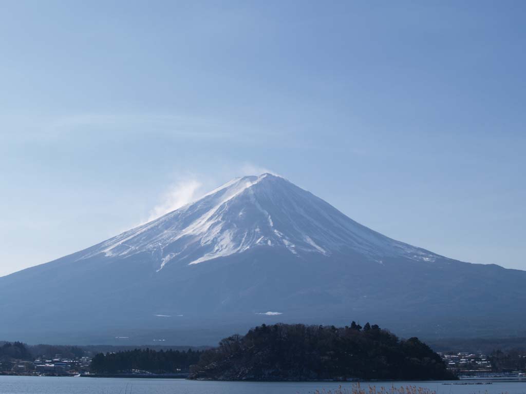 �͌��Α�΂���̕x�m�R