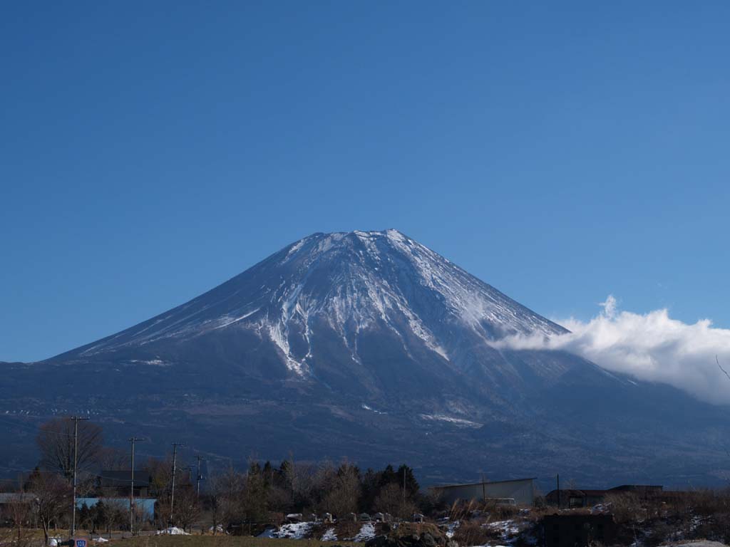 ������������̕x�m�R